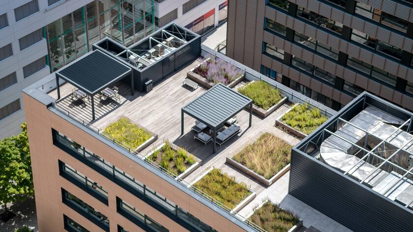 Modernes ökologisches grünes Flachdach auf Bürogebäude