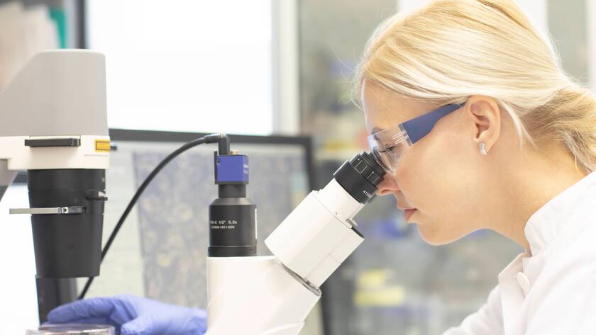 Scientist examining medical sample through microscope in laboratory model released, Symbolfoto property released, SGF02938