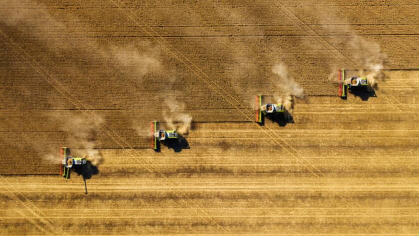 Dust rising from combine during crop harvesting, no-till technology professional occupation.