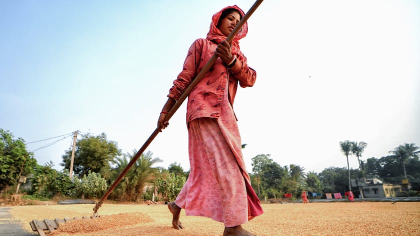 Eine Arbeiterin breitet die Reiskörner mit einem Rechen aus.