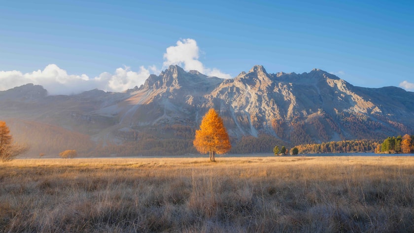 Autumn landscape in Switzerland. Sunrise in the mountains. Fog and autumn tree. Incredible view of the mountain valley. Photo for background, wallpaper, postcards.