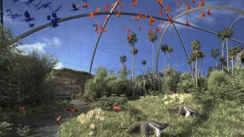 Streit um neues Millionenprojekt im Zoo Zürich eskaliert Zoo Zürich