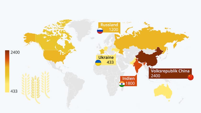 Ukraine Weizen Anbau Grafik