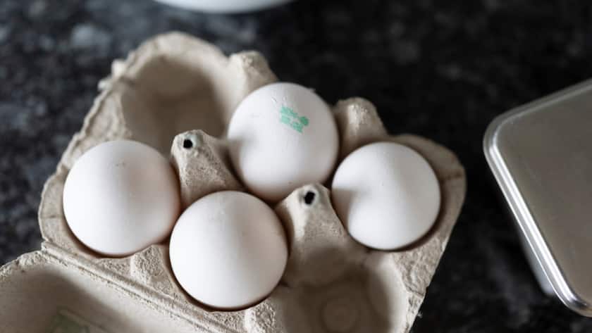 Die Konzentration von PFAS in Eiern hängt auch mit der Haltungsform zusammen. (Symbolbild)