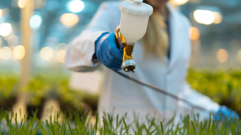 Eine schnellere Zulassung von EU-Pflanzenschutzmitteln soll die Produktionskraft in der Landwirtschaft erhöhen. (Archivbild)