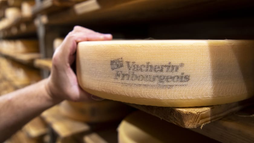 Vacherin und Greyerzer gehören zu den bekanntesten Freiburger Regionalprodukten. (Archivbild)