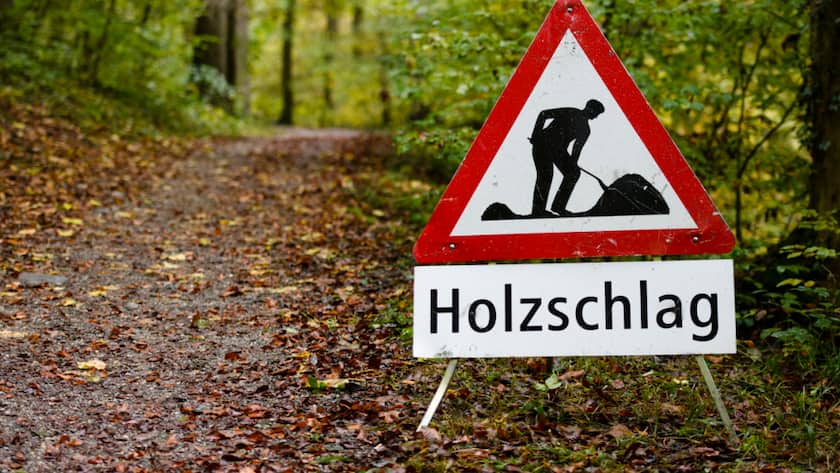 Laut der Beratungsstelle für Unfallverhütung in der Landwirtschaft wurden im letzten Jahr vier Personen tödlich von Stämmen oder Baumteilen erfasst oder getroffen. (Archivbild)