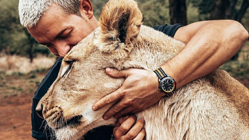 Dean Schneider, Löwenkuschler und Norqain-Markenbotschafter