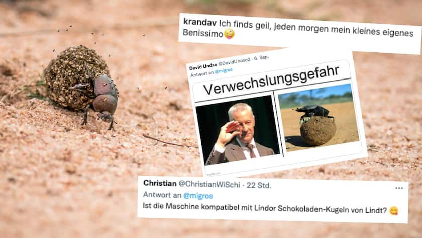 So reagiert das Internet auf die Migros-Kaffeekugel imago images 0103344906: Mistkäfer rollt einen Haufen Mist vor sich her, photoshop mit Kommentaren von Twitter, Facebook und Instagram.