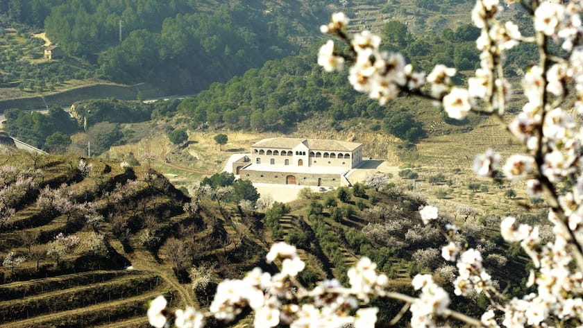 Die Landschaft ums Weingut Mas Alta, unweit von Tarragona gelegen.
