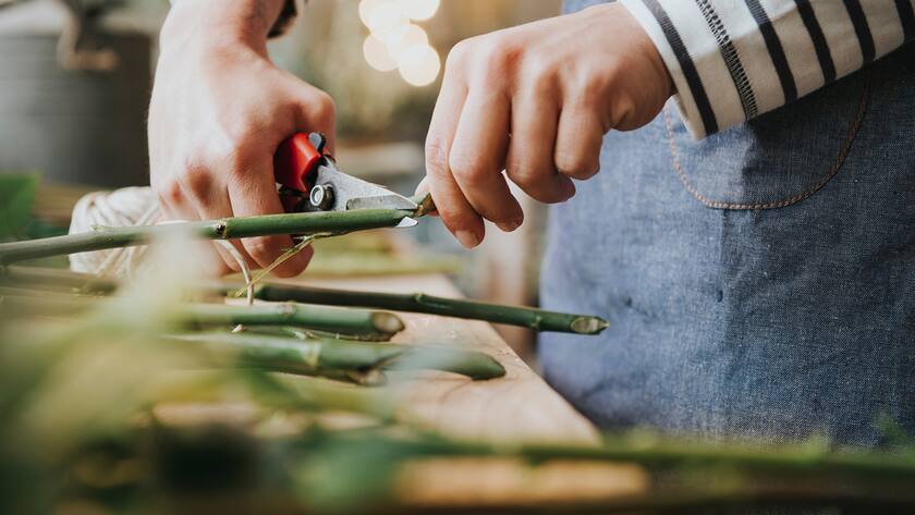 Florist in flower shop, cutting stem of flower, mid section, close-up (KEYSTONE/CULTURA/ISTL/Senserini Lucrezia)