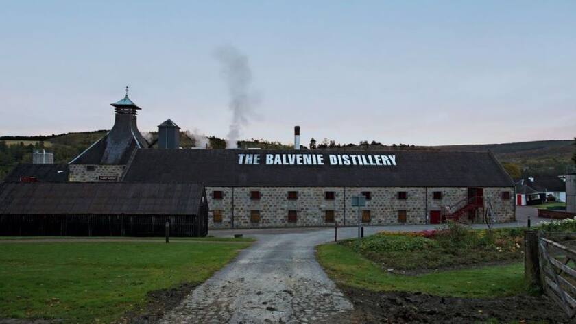 Die Frau mit der besonderen Nase