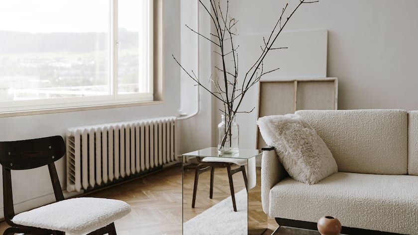 Aesthetic modern Scandinavian home interior design. Elegant living room with comfortable sofa, mid-century furniture, cozy carpet, wooden floor, white walls, home plants