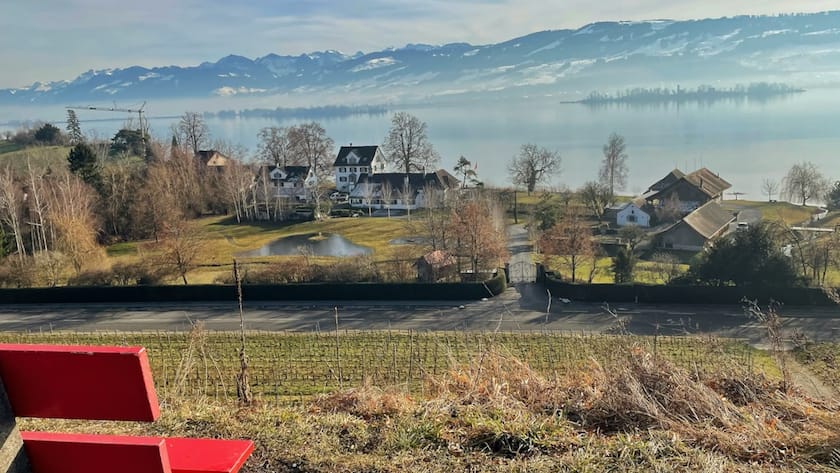 Tina Turner in Stäfa: Der Run auf die Villen am Zürichsee «Tina-Bänkli» in Stäfa: Kostenlose Sicht aufs teure Anwesen der Soul-Diva Tina Turner.