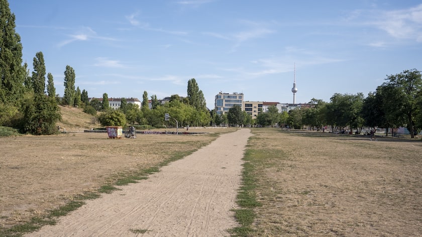 Ausgetrockneter Park in Berlin im August 2022
