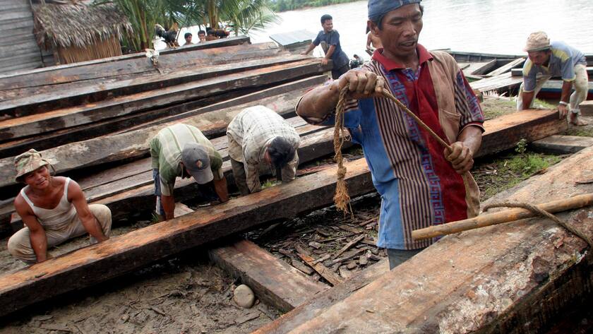 Loggers prepare to transport logs through a river in Aceh Besar, Indonesia, Wednesday, July 19, 2006. Environmentalists say illegal logging has risen sharply across Aceh in the past year, fueled by the demand for timber to supply the rebuilding of 130,000 houses destroyed by Dec 2004's tsunami and the 2005 peace deal between Indonesian government and separatist rebels that opened vast stretches of virgin forests to loggers. (KEYSTONE/AP Photo/Binsar Bakkara)
