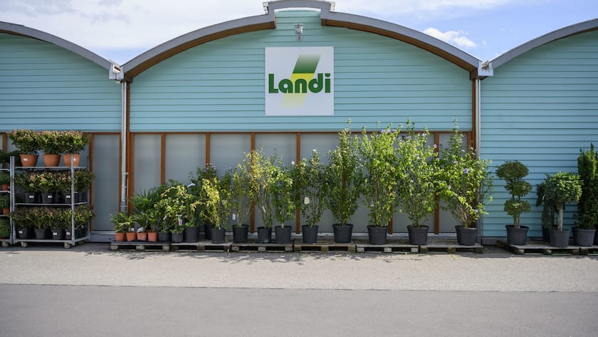 Die Landi expandiert nach Deutschland Exterior view of the Landi shop in Kuessnacht am Rigi, Switzerland, photographed on 27 September 2019. Plants in pots stand in front of the building, the Landi logo is on the facade. (KEYSTONE/Christian Beutler)Aussenansicht des Landi-Ladens in Kuessnacht am Rigi, aufgenommen am 27. September 2019. Vor dem Gebaeude stehen Pflanzen in Toepfen, an der Fassade prangt das Logo der Landi. (KEYSTONE/Christian Beutler)