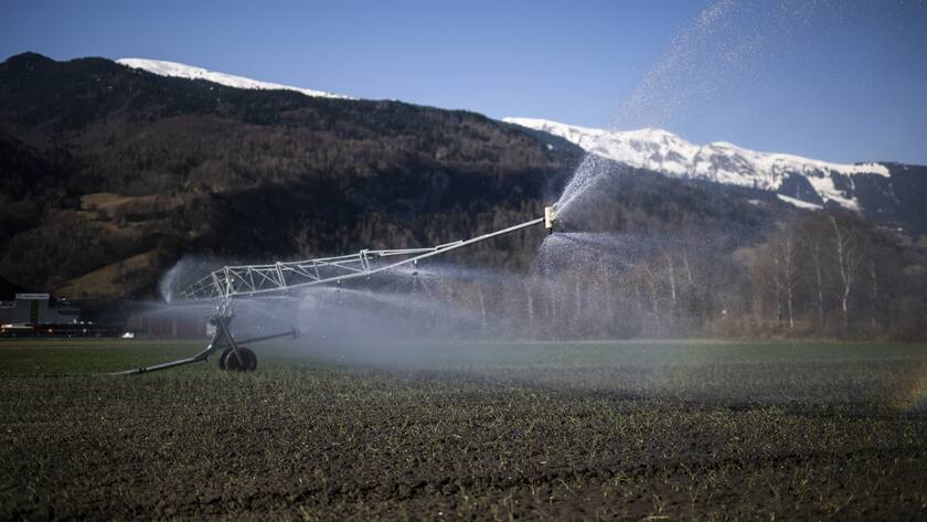 Eine Bewaesserungsanlage auf einem trockenen Feld, aufgenommen am Freitag, 25. Maerz 2022, in Bad Ragaz. Der Maerz duerfte ausserordentlich trocken ausfallen. (KEYSTONE/Gian Ehrenzeller)
