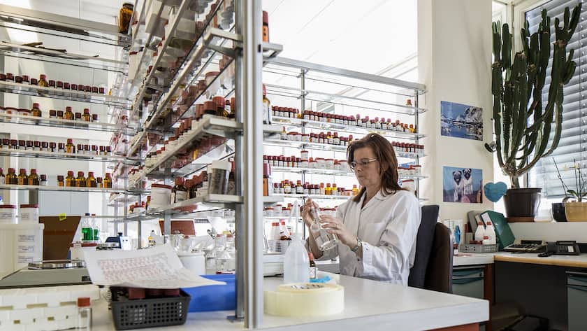 Eine Frau an einem Tisch in weissem Labor Kittel arbeitet an Aroma- und Duftstoffen bei der Firma Givaudan in Dübendorf.