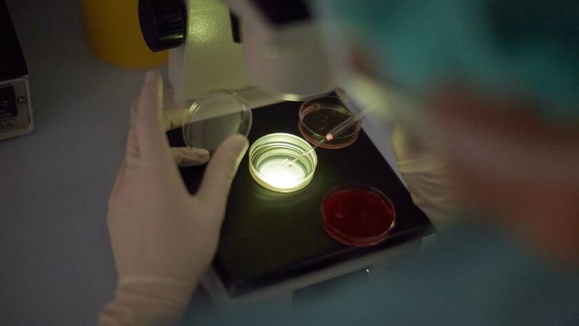 Arbeit im Zentrum für Gynäkologie in Zürich (künstliche Befruchtung): Alle medizinischen Fachbereiche sollten Kosten einsparen.