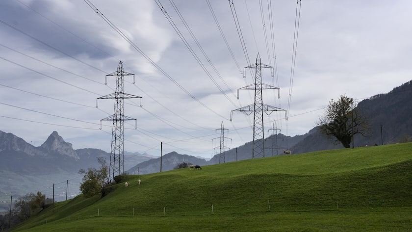 Ziegen sind in einem Feld unterhalb der Hochspannungsleitungen.