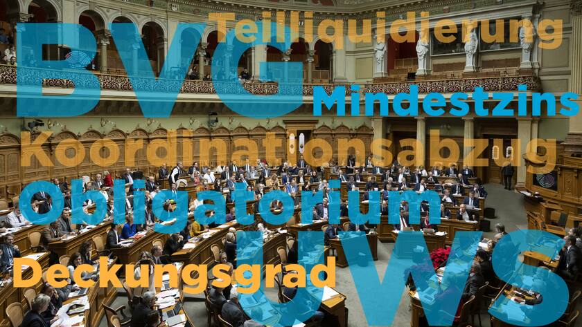 Eine Sprache für sich: Die Begriffe um die Rentenreform