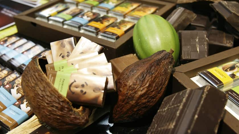 Eine Auslage der Barry Callebaut AG am Donnerstag, 6. November 2008, in Zuerich. Der weltweit groesste Schokoladenproduzent hat im Geschaeftsjahr 2007/08 den Umsatz markant gesteigert. (KEYSTONE/Steffen Schmidt)