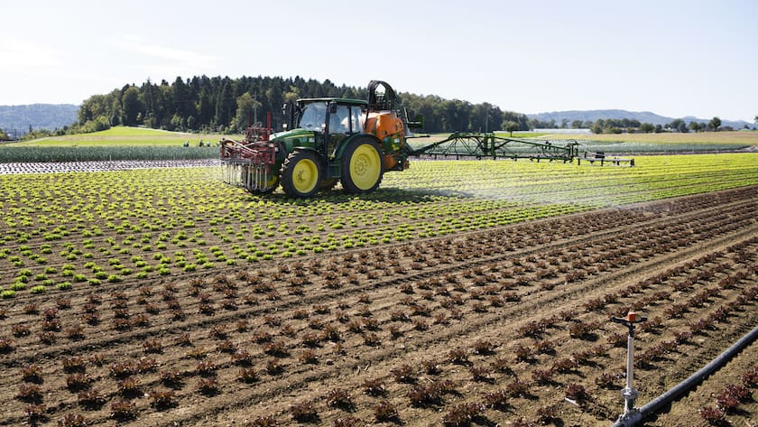 Die Lockerung der Gentechnik-Regeln soll es den Bauern erlauben, mit weniger Pestiziden auszukommen.