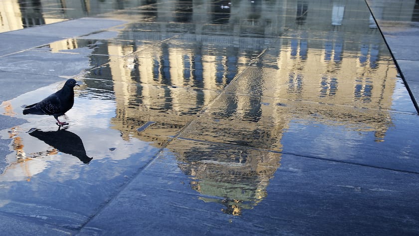 Das Bundeshaus spiegelt sich neben einer Taube im Wasser des Brunnens auf dem Bundesplatz, am Sonntag, 18. Mai 2014, in Bern. (KEYSTONE/Peter Klaunzer)