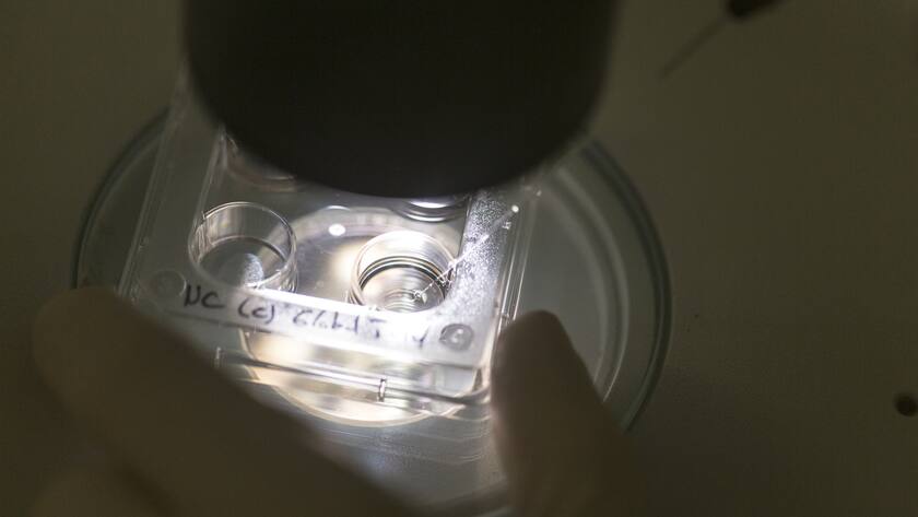 Reproduktionsmedizin im Universitätsspital Bern: Immer mehr Frauen lassen ihre Eizellen einfrieren.