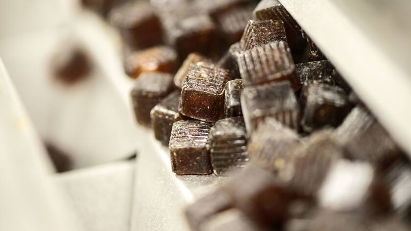 SCHWEIZ RICOLA PRODUKTION