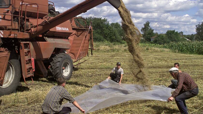 Ukrainian farmers gather the grain harvest in the northern Ukrainian village of Kysylivka, some 300 km (180 miles) from the capital Kiev, Friday, Aug. 22, 2003. According to agricultural experts the 2003 harvest will amount to about 25.5 million tons following a 2002 level of 38.8 million tons. Ukraine, the former breadbasket of the Soviet Union and one of the world's largest grain exporters, announced plans to buy grain abroad in June. (KEYSTONE/AP Photo/Andrei Lukatsky)