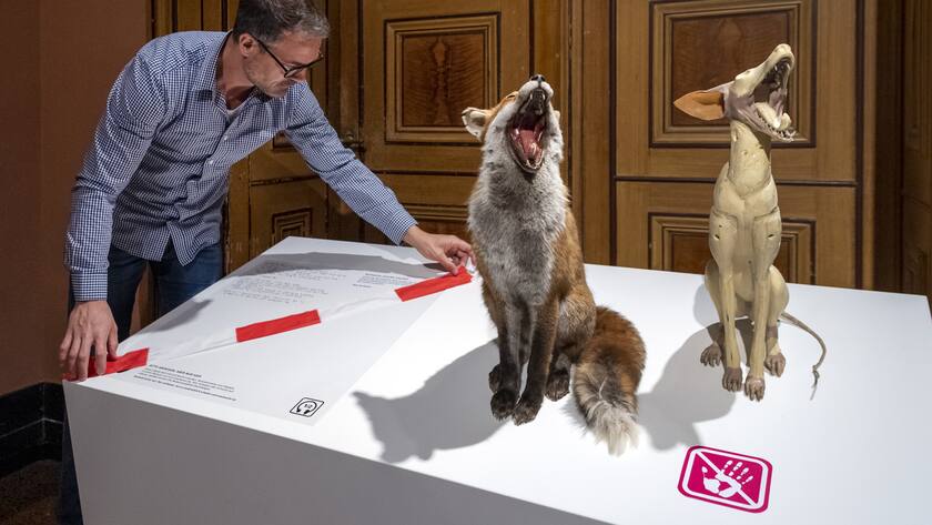 Co-Direktor David Alder bringt ein Absperrband an als Schutzmassnahme gegen das Coronavirus vor der bevorstehenden Wiedereroffnung fuer das Publikum, im Naturhistorisches Museum in Basel, am Montag, 11. Mai 2020. (KEYSTONE/Georgios Kefalas)