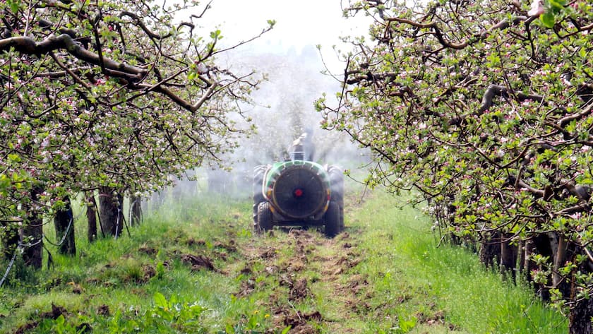 Unsere Früchte und Gemüse sind häufig gespritzt, sprich chemisch behandelt. Das ist nicht unproblematisch.