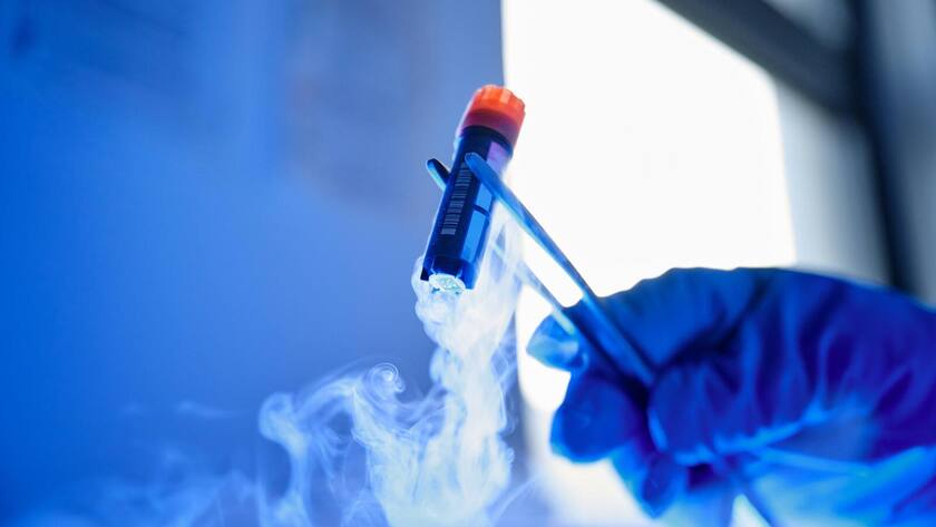 Bluu Seafood züchtet Fisch aus Zellen.