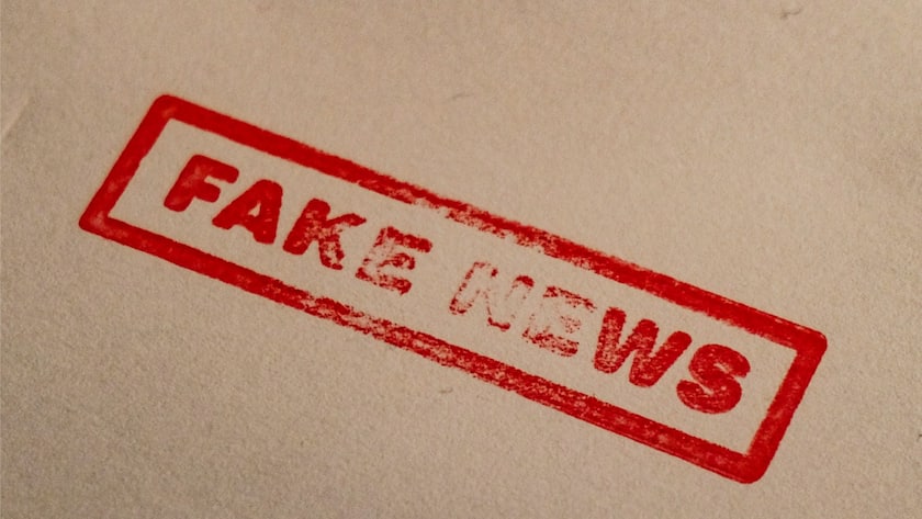 Schriftzug Fake News