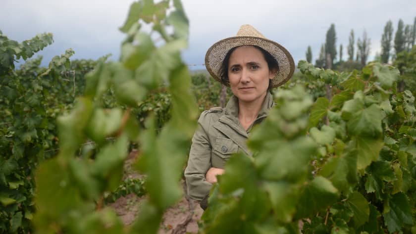 <p>Laura Catena verschreibt sich als Ärztin und Winzerin der korrekten Forschung. Seit zwei Jahren wehrt sie sich mit Fakten gegen das Alkohol-Bashing der WHO.</p>