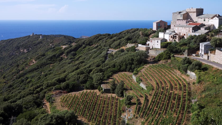 <p>Typisch Korsika: Raue Hügelzüge mit Blick aufs Mittelmeer, ein historisches Städtchen im Hintergrund samt sorgfältig gepflegten Rebzeilen.</p>
