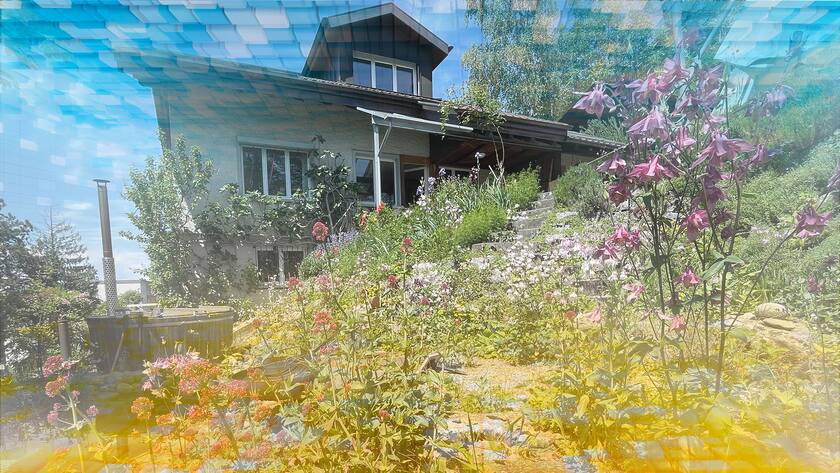 PK-Rente Fokuswoche BVG