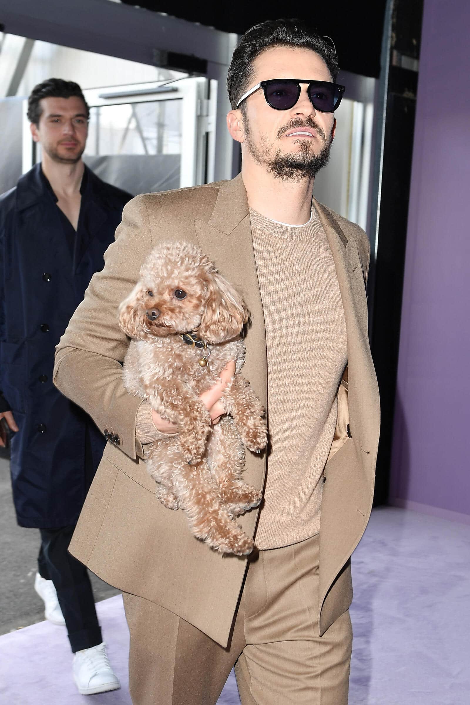 Ton sur ton:Schauspieler Orlando Bloom mit seinem geliebten Pudel Mighty.