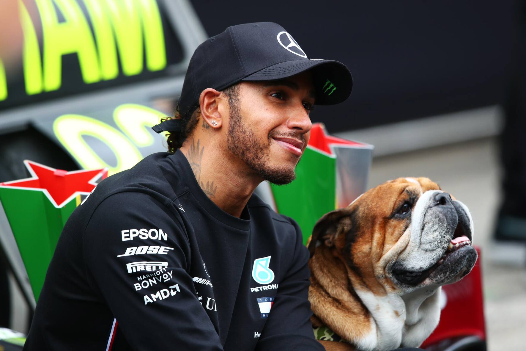 Beste Freunde: Lewis Hamilton mit seiner Bulldogge Roscoe.