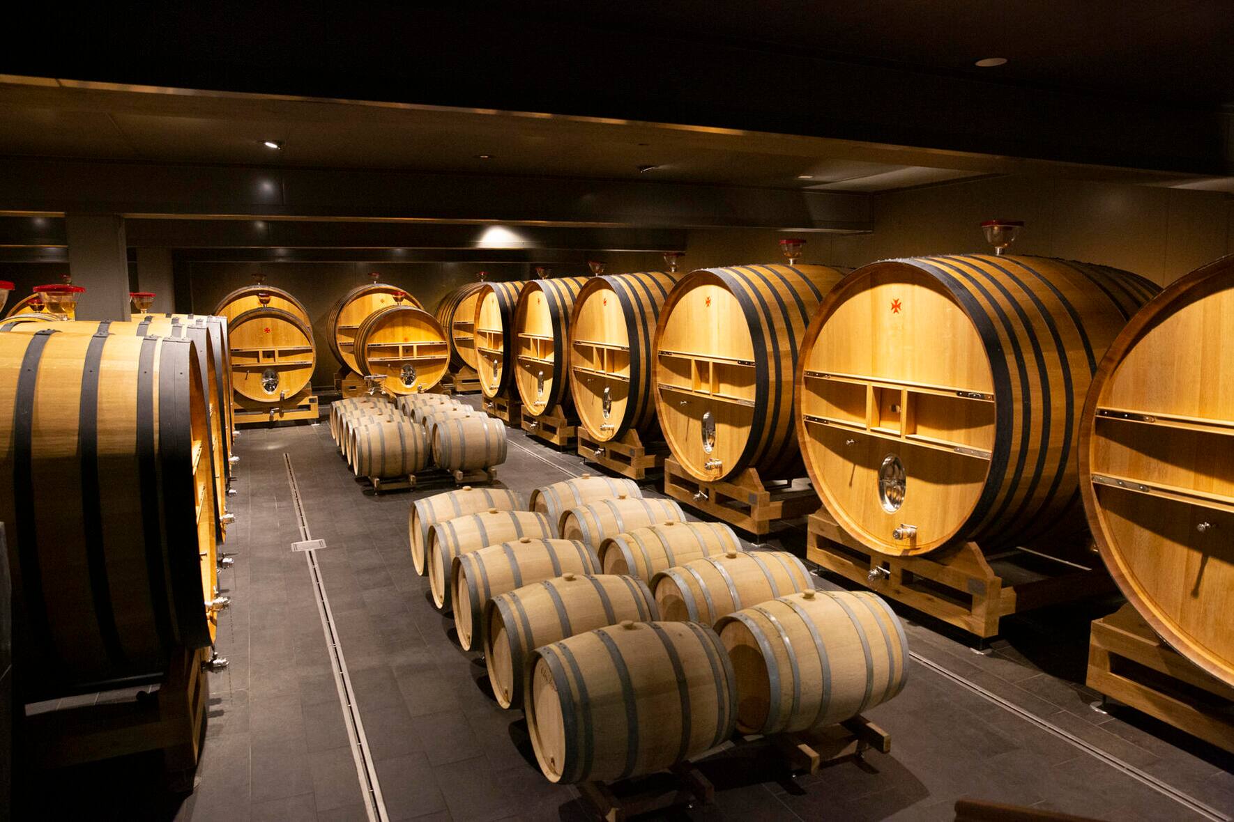 Fässer im Weinkeller von Lanson.