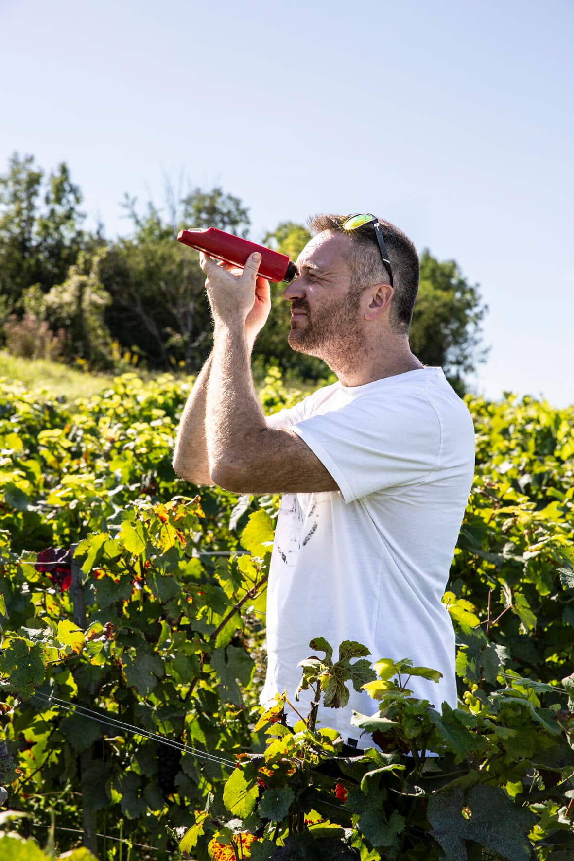 Der Eigentümer von Champagne Alexis, Alexis Leconte.