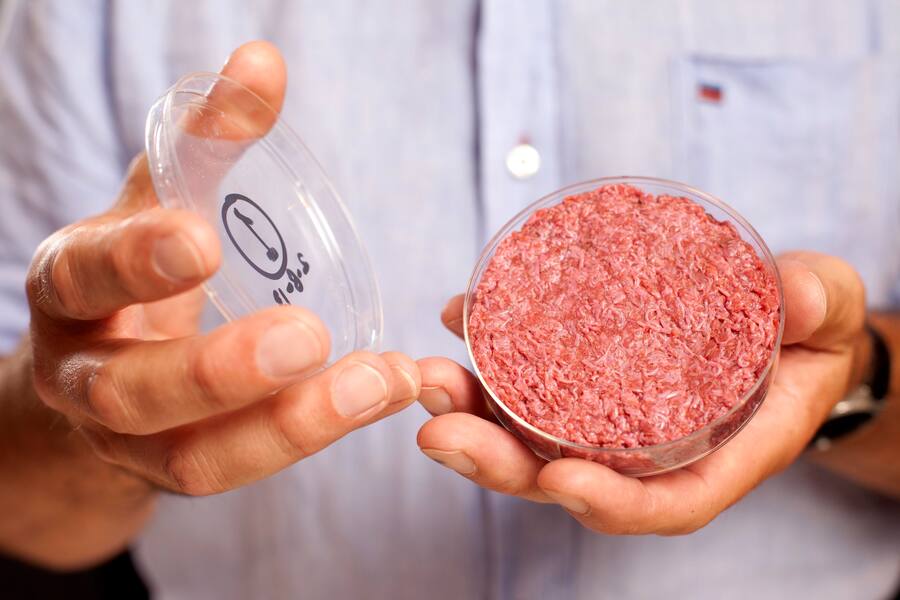 EDITORIAL USE ONLY. A burger made from Cultured Beef, which has been developed by Professor Mark Post of Maastricht University in the Netherlands. PRESS ASSOCIATION Photo. Issue date: Monday August 5, 2013. Cultured Beef could help solve the coming food crisis and combat climate change. Commercial production of Cultured Beef could begin within ten to 20 years. Photo credit should read: David Parry/PA