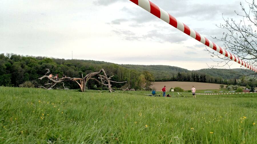 Gesperrte Wiese zwischen Riehen und Lörrach