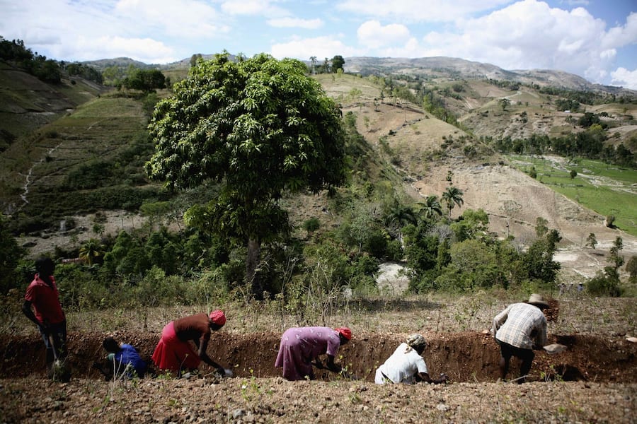 Aufforstung in Haiti (Trick 1)