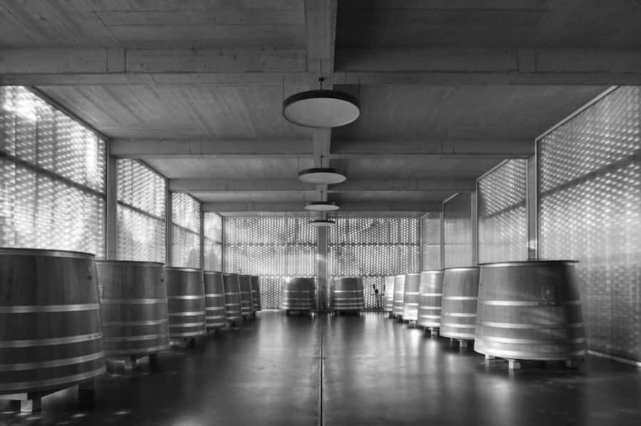 <p>Modernes Design trifft auf moderne Weinkultur: In diesen Eichenfässern werden die Trauben vergoren.</p>