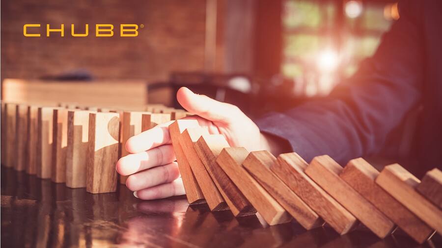 CHUBB_Bild