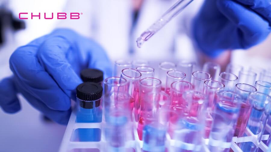 Chubb_Bild 2