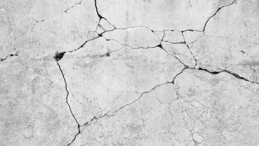 Flickt sich selbst: Lebender Beton.